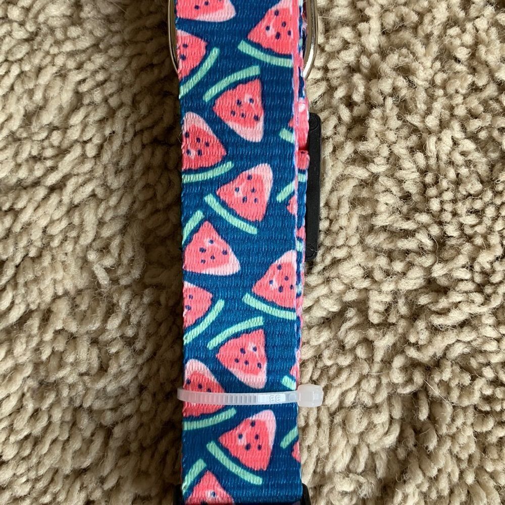 NWT‎ Watermelon Picnic Print Dog Collar size XS Small 8”- 12”